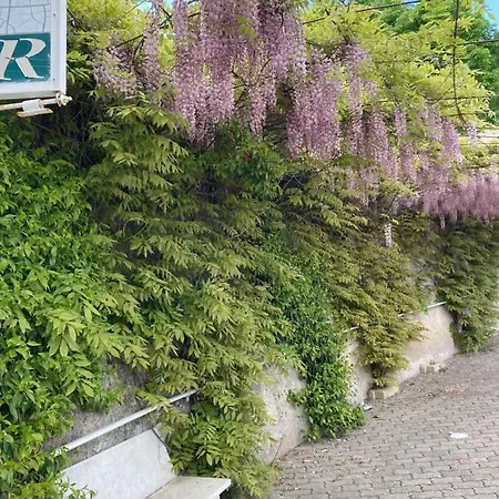 Hotel Bianco *