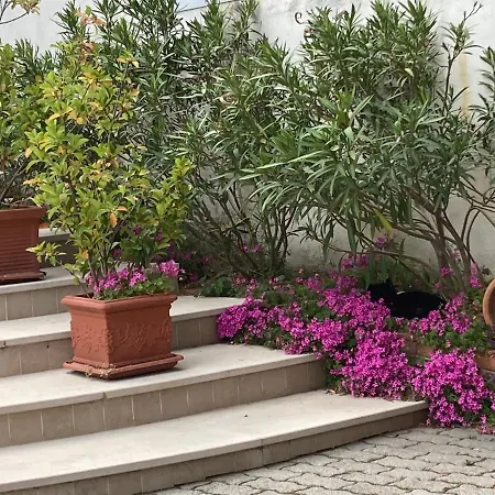 Bianco San Giovanni Rotondo