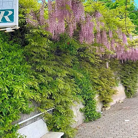 Bianco Hotel *