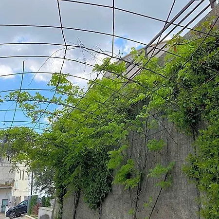 Bianco Σαν Τζιοβάνι Ροτόντο